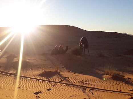Sonnenuntergang in Erg Chebbi